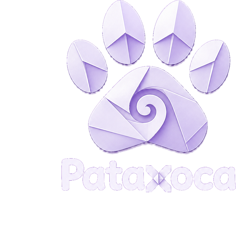 Pataxoca